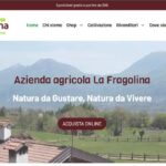 homepage del sito dell'azienda agricola la fragolina